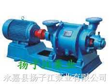 真空泵:SZ系列水环式真空泵及压缩机 