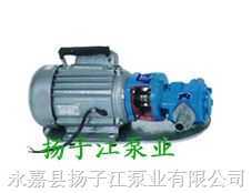 油泵:WCB手提式不锈钢齿轮油泵
