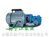油泵:WCB手提式不锈钢齿轮油泵