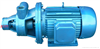 漩涡泵:1W型单级漩涡泵 