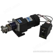 LCBS1-00/AC220（380）微型齿轮泵（交流型）