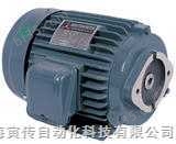 LUCHUANG MOTOR CO.,LTD油泵马达3-PHASE INDUCTION MOTOR