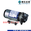 DP型微型12V/24V电动隔膜泵
